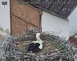 Capi_Dubne_20250503_144003.jpg