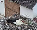 Capi_Dubne_20250503_152003.jpg