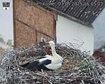 Capi_Dubne_20250503_160503.jpg