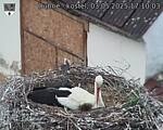 Capi_Dubne_20250503_171003.jpg