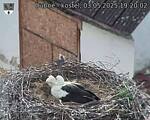 Capi_Dubne_20250503_192002.jpg
