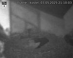 Capi_Dubne_20250503_211003.jpg