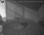 Capi_Dubne_20250503_221503.jpg