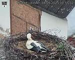 Capi_Dubne_20250504_105502.jpg