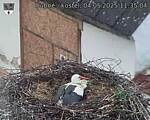 Capi_Dubne_20250504_113504.jpg