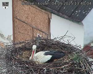 Capi_Dubne_20250504_134004.jpg (1350 x 1080)