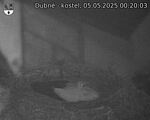 Capi_Dubne_20250505_002003.jpg