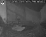 Capi_Dubne_20250505_010503.jpg