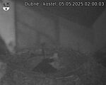 Capi_Dubne_20250505_020003.jpg