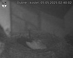 Capi_Dubne_20250505_024002.jpg