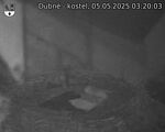 Capi_Dubne_20250505_032003.jpg