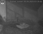 Capi_Dubne_20250505_033502.jpg