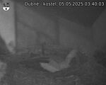 Capi_Dubne_20250505_034003.jpg