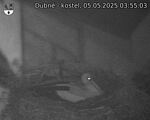 Capi_Dubne_20250505_035503.jpg