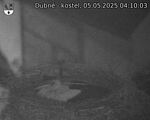 Capi_Dubne_20250505_041003.jpg