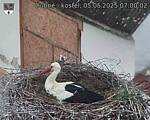 Capi_Dubne_20250505_070002.jpg