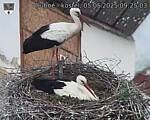 Capi_Dubne_20250505_092503.jpg