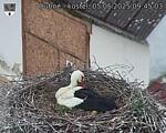 Capi_Dubne_20250505_094503.jpg