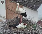 Capi_Dubne_20250505_103504.jpg