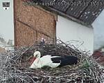 Capi_Dubne_20250505_113503.jpg
