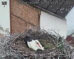 Capi_Dubne_20250505_121503.jpg