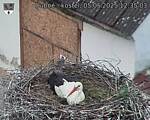 Capi_Dubne_20250505_123503.jpg