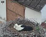 Capi_Dubne_20250505_125003.jpg