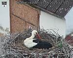 Capi_Dubne_20250505_125503.jpg