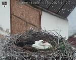 Capi_Dubne_20250505_132003.jpg