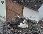 Capi_Dubne_20250505_132503.jpg