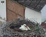 Capi_Dubne_20250505_133003.jpg