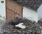 Capi_Dubne_20250505_135003.jpg