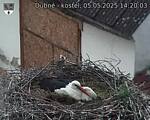 Capi_Dubne_20250505_142003.jpg