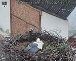 Capi_Dubne_20250505_145503.jpg