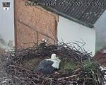Capi_Dubne_20250505_151502.jpg