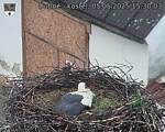Capi_Dubne_20250505_153003.jpg