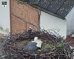 Capi_Dubne_20250505_154003.jpg