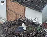 Capi_Dubne_20250505_154503.jpg