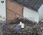 Capi_Dubne_20250505_161503.jpg