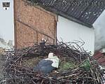 Capi_Dubne_20250505_163003.jpg