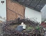 Capi_Dubne_20250505_164003.jpg