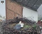 Capi_Dubne_20250505_172002.jpg