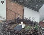 Capi_Dubne_20250505_173503.jpg