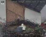 Capi_Dubne_20250505_174002.jpg