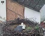 Capi_Dubne_20250505_174503.jpg