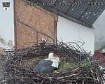 Capi_Dubne_20250505_175004.jpg