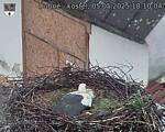 Capi_Dubne_20250505_181004.jpg