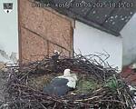 Capi_Dubne_20250505_181503.jpg