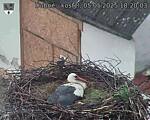 Capi_Dubne_20250505_182003.jpg
