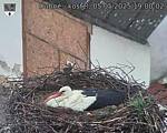 Capi_Dubne_20250505_190002.jpg